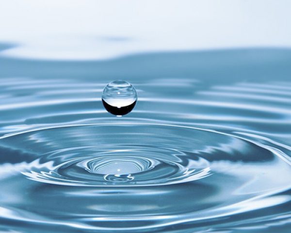 Densidade da água no estado líquido e sólido